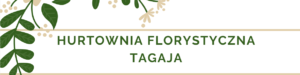 Hurtownia florystyczna online - najlepsze produkty na rynku od Tagaja